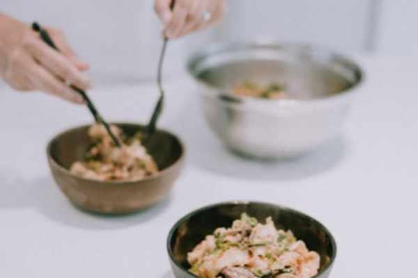 chrissyjosh health care meal prep pa